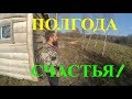 ПОЛГОДА НА ХУТОРЕ // ЧТО СДЕЛАНО? // Russian farmers