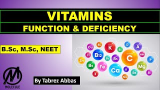 VITAMINS - Scientific Name, Source, Function & Deficiency || B.Sc, M.Sc || NEET, AIIMS ||