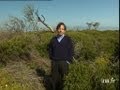 Nicolas bouvier  le dehors et le dedans