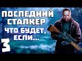 Последний Сталкер. Что Будет, Если... #3. Штурм Периметра