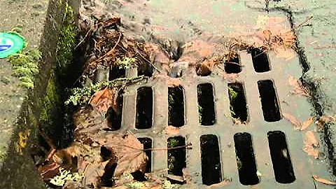 From the Curb to your Cup: The Journey of a Raindrop