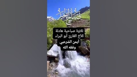 تلاوة صباحية هادئة من سورة البقرة للأخ القارئ أبو البراء أيمن الشرعبي