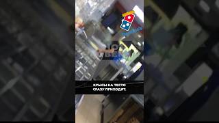 Крысы в Domino’s #пицца #проверка #доминоспицца #крысы #shot