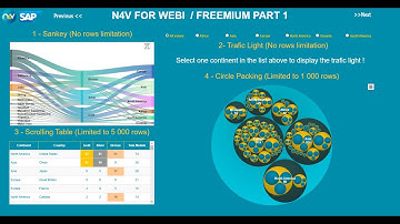 Need4Viz - Preview of the Freemium capabilities N4V FOR WEBI