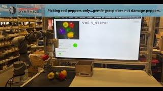 Autonomous Pepper Pick and Place with Artus Lite