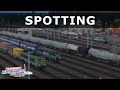 Spotting 4  transport fever 2