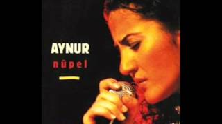 Aynur Doğan Keçe Kurda