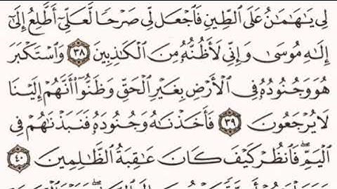 الصفحة رقم 390 الشيخ ماهر المعيقلي - القرآن الكريم - Quran
