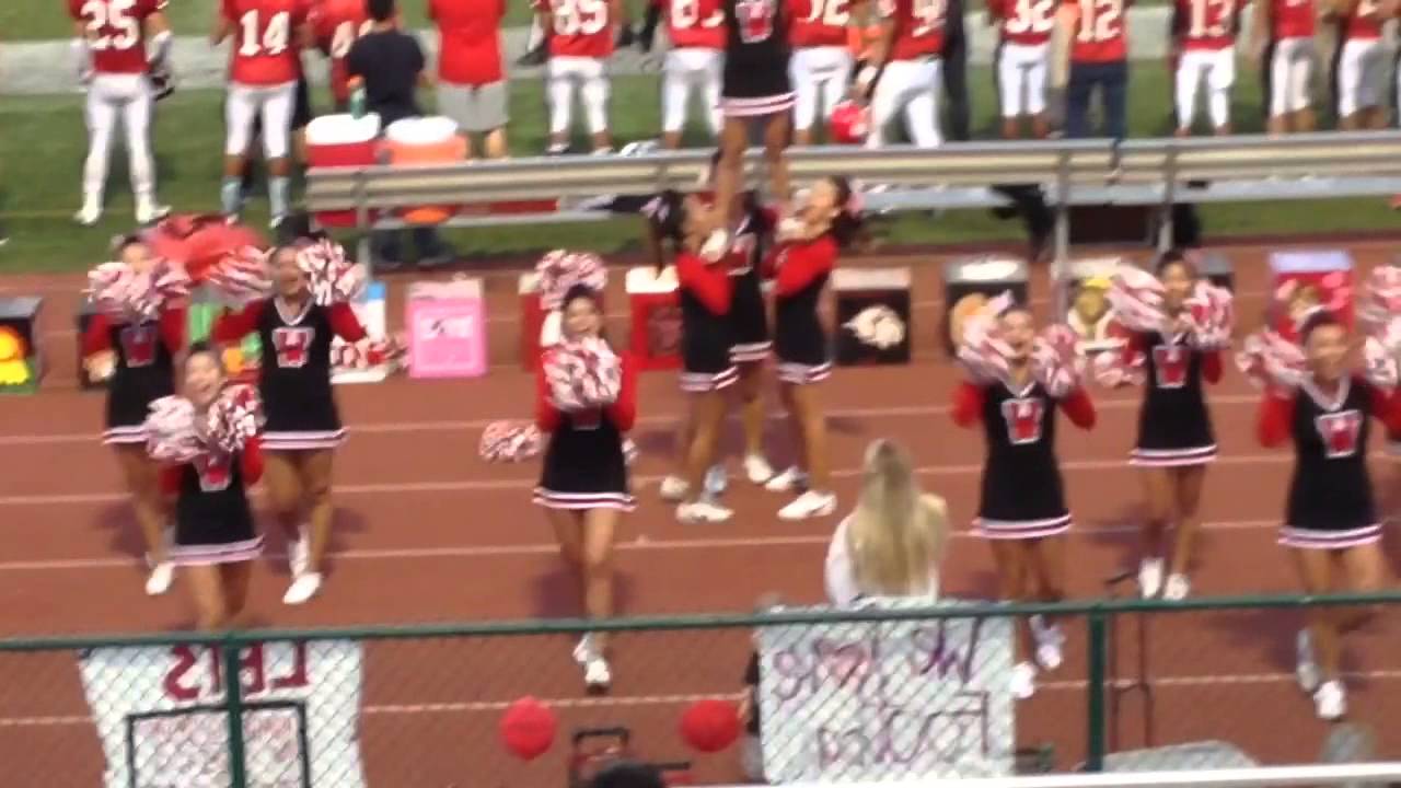 Sleepover Vlog - Day 67