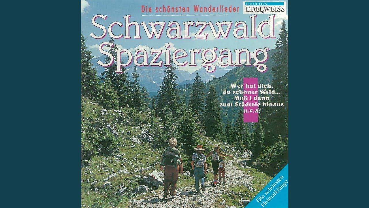 Wer Hat Dich Du Schöner Wald Wer hat dich, du schöner Wald - YouTube