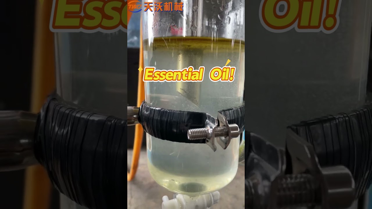 From Client's Patchouli to Pure Essence: A Full Distillation Experiment