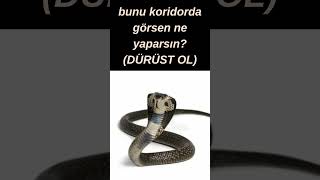 (Dürüst Ol) Resimi