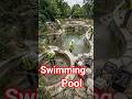 Dirty Pool to Luxury Oasis Transformation 🏊‍♂️✅#shorts#youtubeshorts#poolrestoration#cleaning#viral