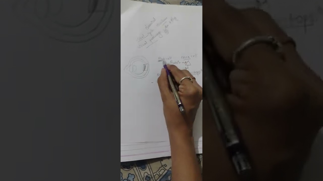 Biochemistry: Wald's Visual Cycle