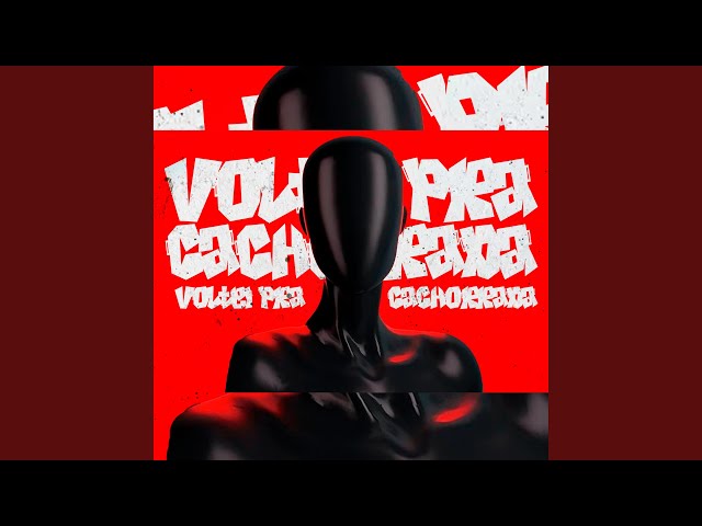 VOLTEI PRA CACHORRADA-MEGA FUNK