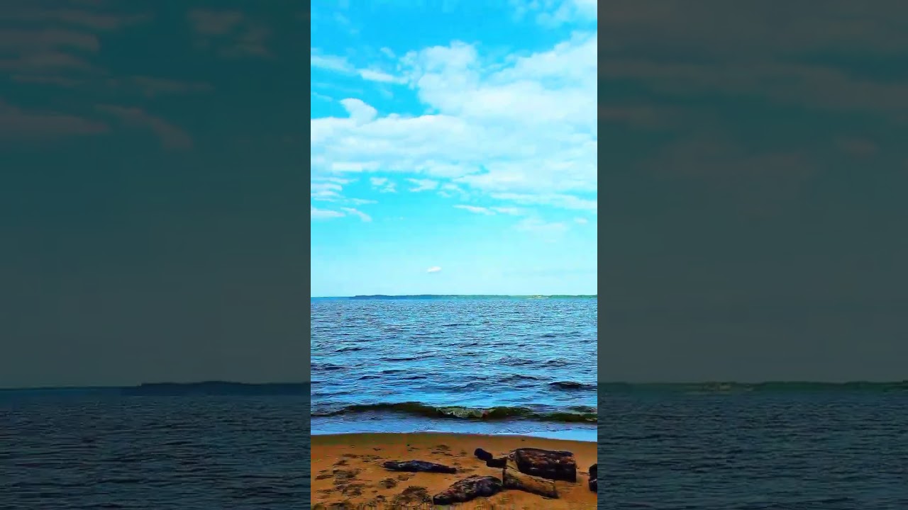 The Potomac River (Virginia side) # 