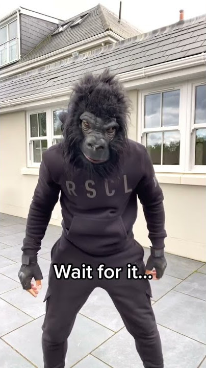 Venom Gorilla 😂 | please like and Subscribe #shorts #youtubeshorts #funny #viral