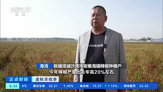 [正点财经]金秋丰收季 新疆沙湾：辣椒丰收映天红| 财经风云