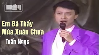 Miniatura del video "Em Đã Thấy Mùa Xuân Chưa (Quốc Dũng) — Tuấn Ngọc | Tình Khúc Bất Hủ Vượt Thời Gian"