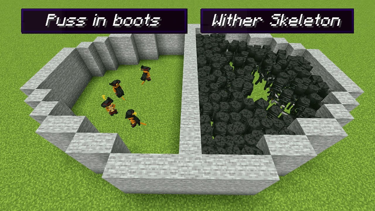 PUSS IN BOOTS Vs WITHER SKELETON Minecraft Mob Battlel YouTube