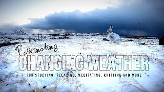 Slow TV From Norway | Changing Weather In Arctic | Ambient Music For Study, Deep Focus, Meditation screenshot 4