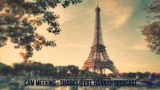 Cam Meekins - Sharks (Feat. Hannah Georgas) (Hip - Hop)