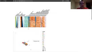 Step by Step tutorial on how to make a network visualization with vega-lite