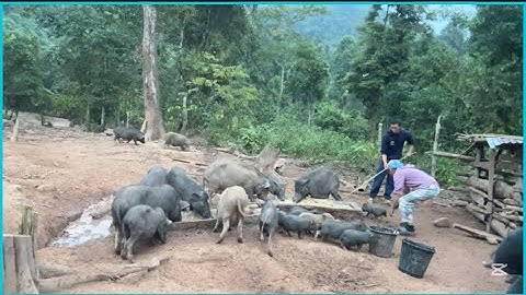 The last day of the year