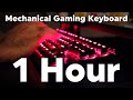Cherry MX Red Switch Sound 1 Hour FAST Typing ASMR Mechanical Keyboard