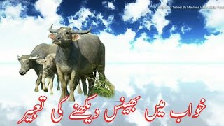 Buffalo Dream Meaning || Khwab Mein Bhains Dekhna Ki Tabeer || Dream Interpretation Buffalo