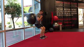 Exercise ball hack squat narrow stance