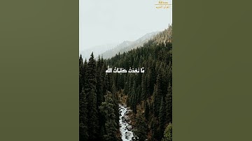 ولو أن ما في الأرض من شجرة أقلام || الشيخ المنشاوي || القرآن الكريم