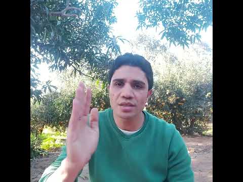 المرأة حياة 147 وحيدة أميرى بعيدا عن كتبى أفقد هويتى