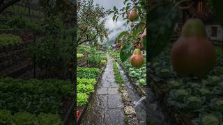 Switzerland village in heavy rain🌧️Unreal Alpine Paradise #switzerland #rainasmr