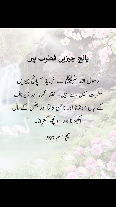 5 Cheezain Fitrat se Hain✨| Hadees Sharif| #shortsfeed #hadith #shorts