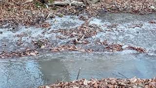 Topçu Kendi. İsmayıllı. 26 Dekabr 2021