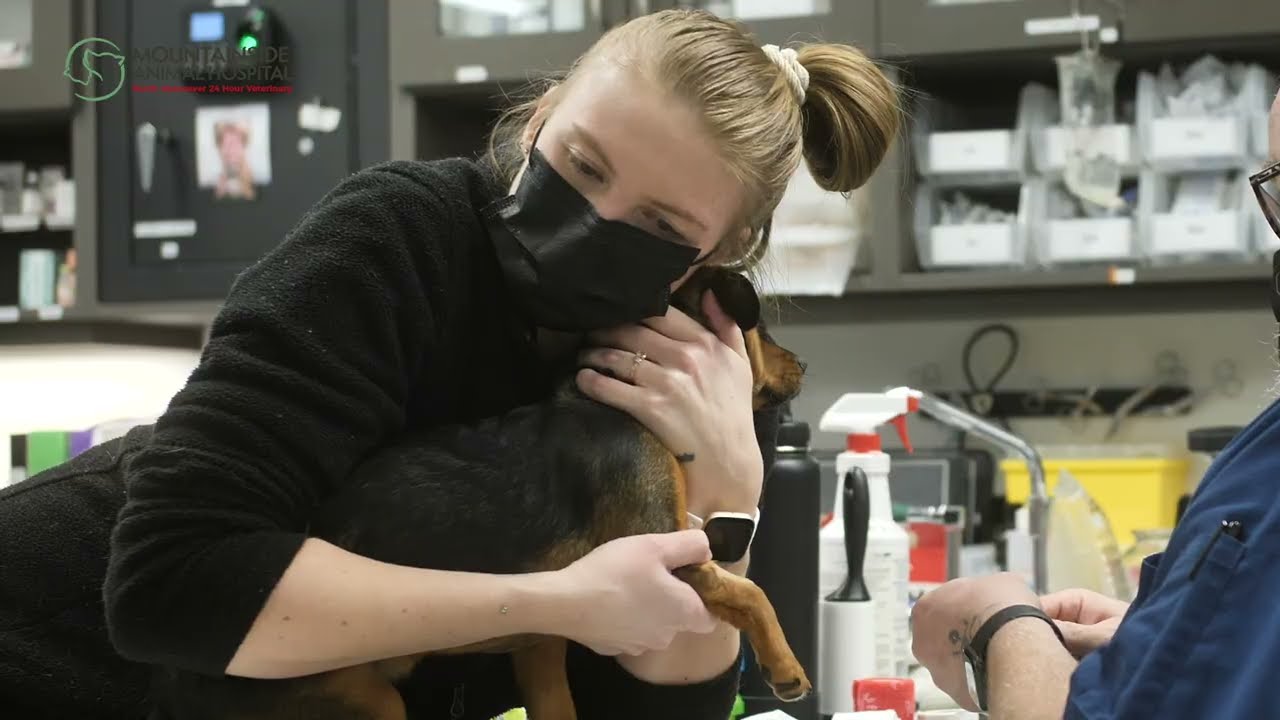 Kindness & Compassion for Your Pet - 24 Hour Emergency Veterinary Hospital