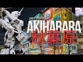 Top 5 Must Visit Stores In Akiba 2025 Guide Top 5 Must Visit Stores In Akiba 2025 Guide