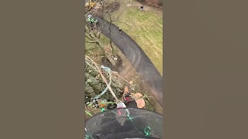 Rigging top off chestnut oak #arborist #treeclimbing #rigging #treeremoval