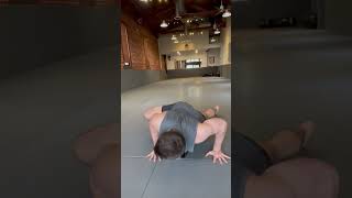 Alligator Push Up/Lizard Crawl