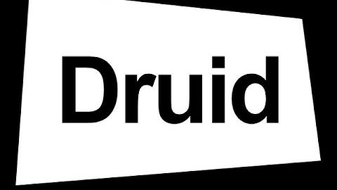 Druid Software