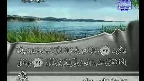 سورة الجاثية كاملة الشيخ فارس عباد