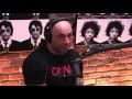 Joe Rogan on Ronda Rousey Being TKO'd by Amanda Nunes