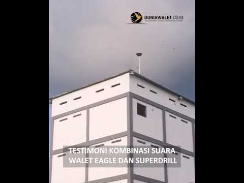 testimoni-suara-walet-original-ban-kombinasi-eagle-&-superdrill