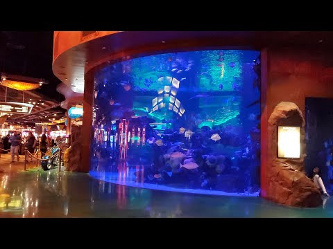 mister x casino login,vegas x casino lobby,casino x metaverse,casino x mobile