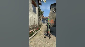 Flashbang kill 😂😂 #csgo #shorts