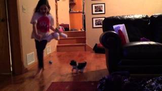 Natalya Running Jack
