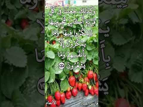 فارس عباد و ك ذ ل ك ج ع ل ن ا ف ي ك ل ق ر ي ة أ ك اب ر م ج ر م يه ا ل ي م ك ر وا ف يه ا