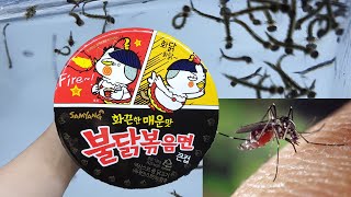 모기 vs 불닭볶음면 소스 놀라운 결과! feat구충제