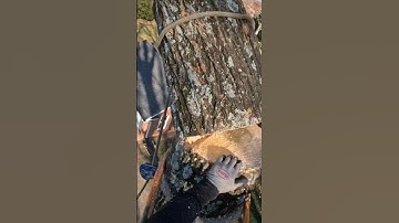 Negative Rigging #treelife #arborist #notchemandwatchem #allday #lumberjacks